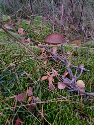 Similar image 21652892