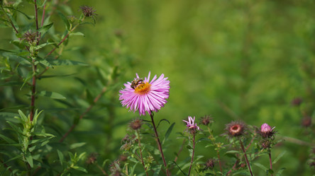 Similar image 21657617