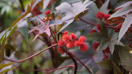 Similar image 21657618