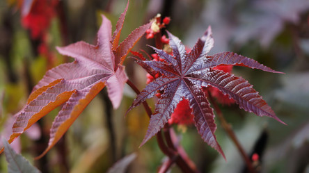 Similar image 21657619