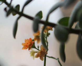 Similar image 21657621