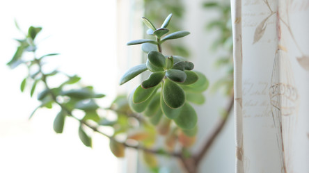 Similar image 21657622