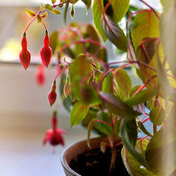 Similar image 21657623