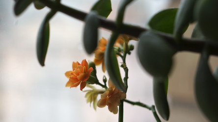 Similar image 21657625