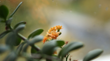 Similar image 21657630