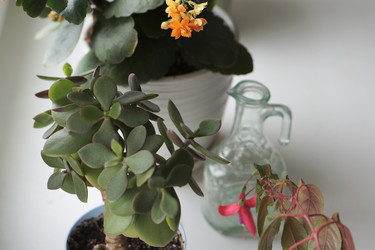 Similar image 21657631