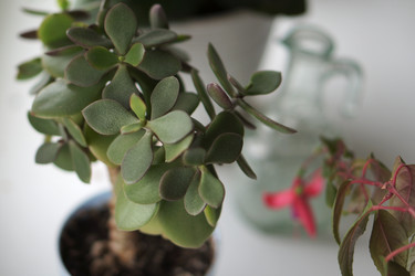 Similar image 21657633