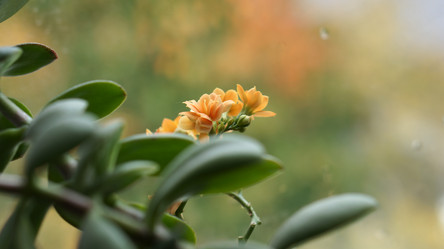 Similar image 21657634