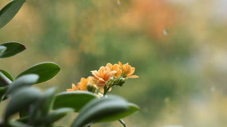 Similar image 21657636