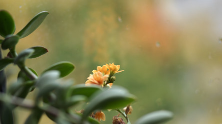 Similar image 21657637