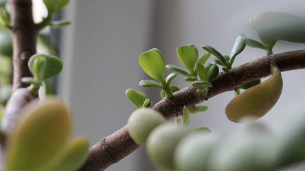 Similar image 21657638