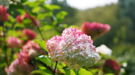 Similar image 21657639