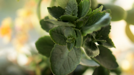 Similar image 21657640