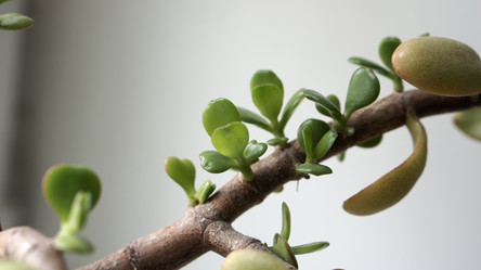 Similar image 21657641