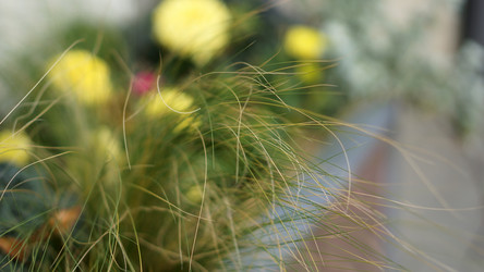 Similar image 21657644