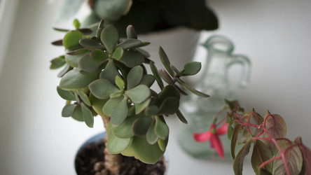 Similar image 21657647