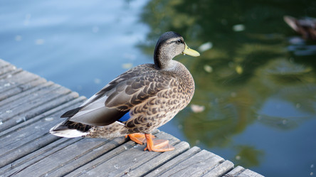 Similar image 21657652