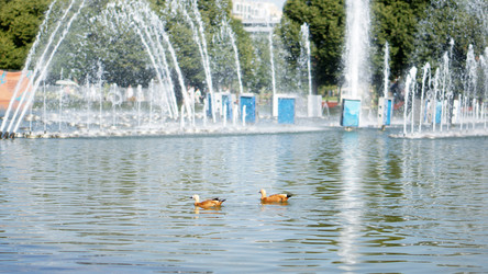 Similar image 21657655