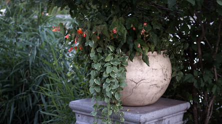 Similar image 21657658