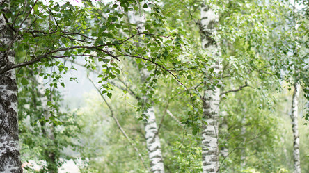 Similar image 21657459