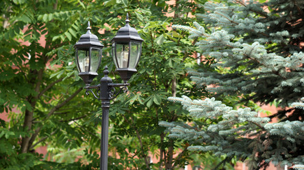 Similar image 21657460