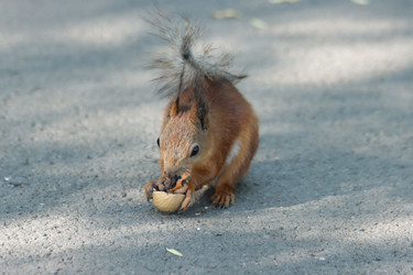 Similar image 21656933