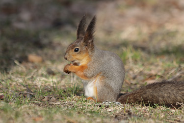 Similar image 21656934