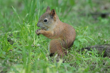 Similar image 21656935