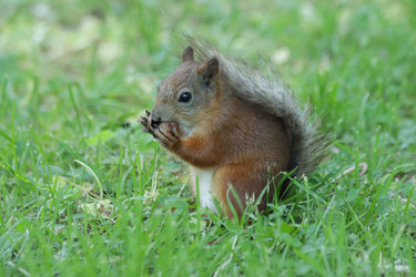 Similar image 21656936