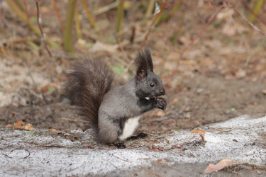 Similar image 21656937