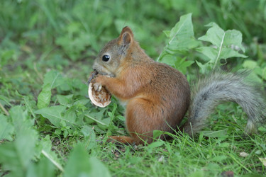 Similar image 21656939