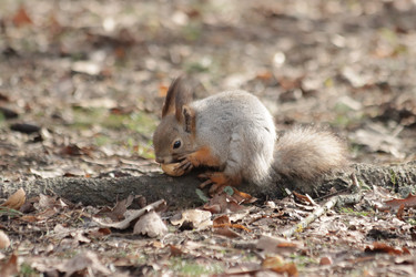 Similar image 21656940