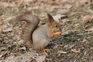 Similar image 21656941