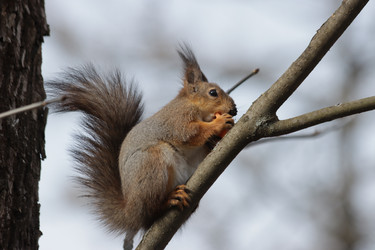 Similar image 21656942