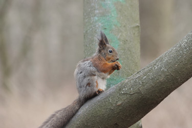 Similar image 21656946