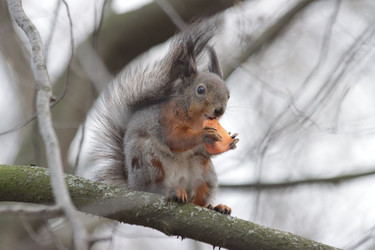 Similar image 21656947