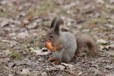 Similar image 21656948