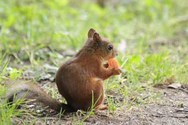 Similar image 21656949