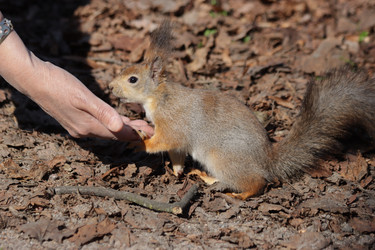 Similar image 21656950