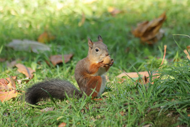 Similar image 21656951