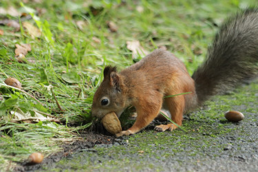 Similar image 21656952