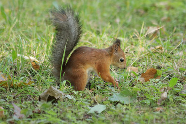 Similar image 21656953