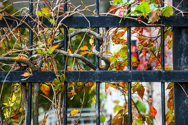 Similar image 21655796