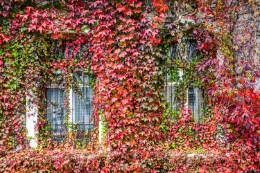 Similar image 21655801