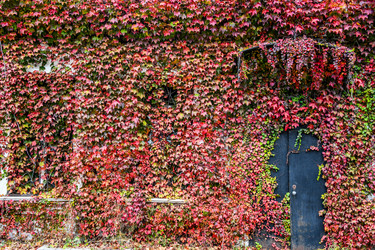 Similar image 21655803