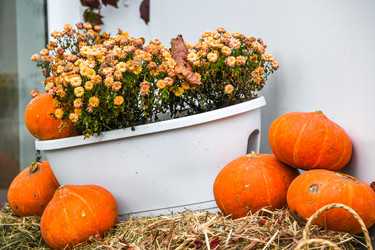 Similar image 21655804