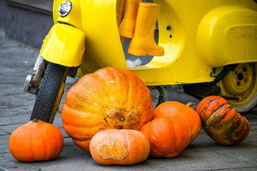 Similar image 21655805