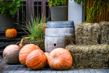 Similar image 21655806