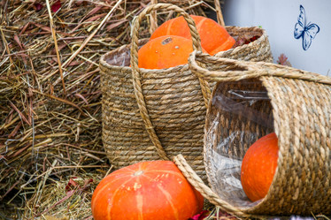 Similar image 21655807