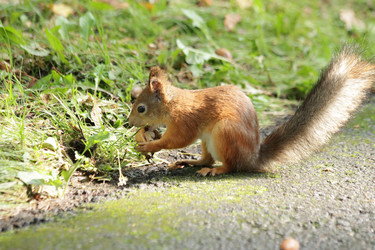 Similar image 21656954